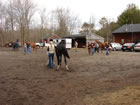 Horses began to arrive, and the courtyard was busy!